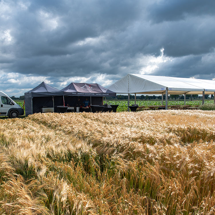 Hale namiotowe na imprezy dla rolników